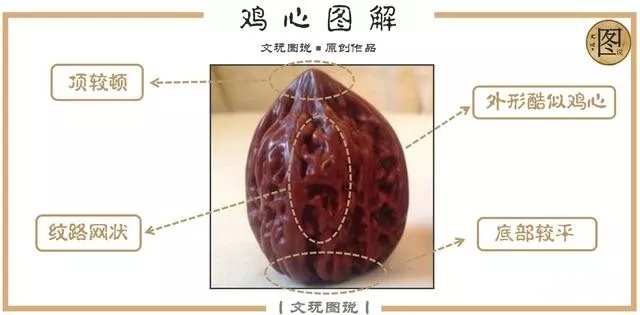 文玩核桃官帽和狮子头区别,文玩核桃官帽与狮子头区别