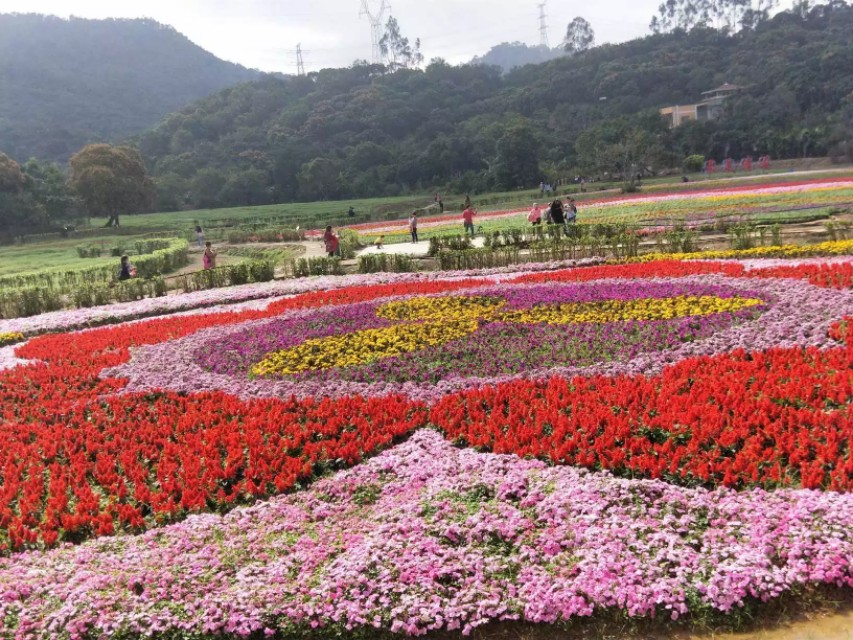 春暖花开的季节,春暖花开的季节歌名