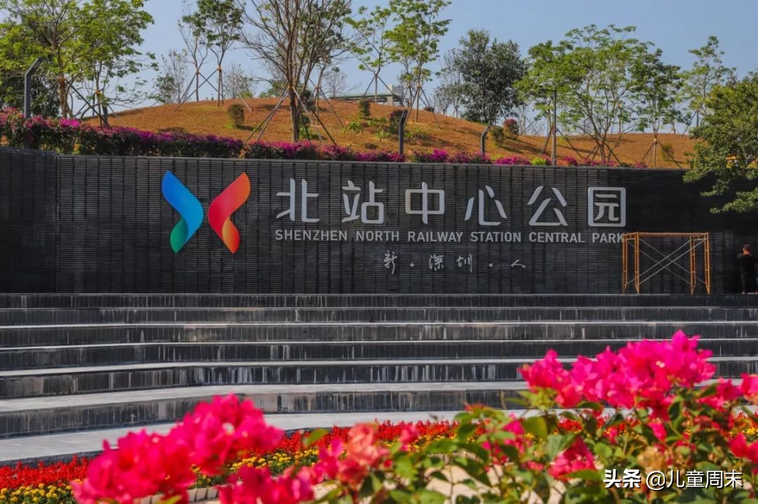 深圳中心公园足球场,深圳中心公园大草坪