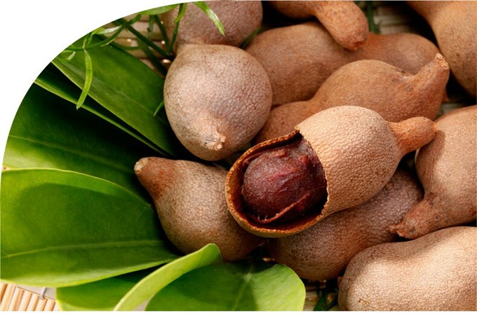 西双版纳环途旅游,西双版纳旅游度假攻略