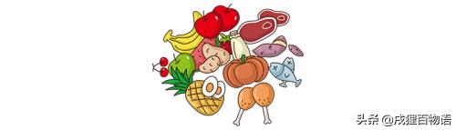 选狗粮,选狗粮的标准