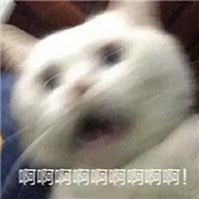 LV、Gucci、Chanel全线涨价？做好吃土的准备了吗？