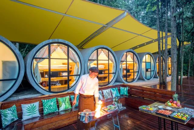 真正的森林树屋,这些树屋满足你对森林的所有幻想