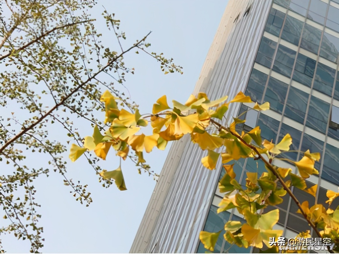 索尼xperia5ii深度测评,索尼xperia5ii长期测评