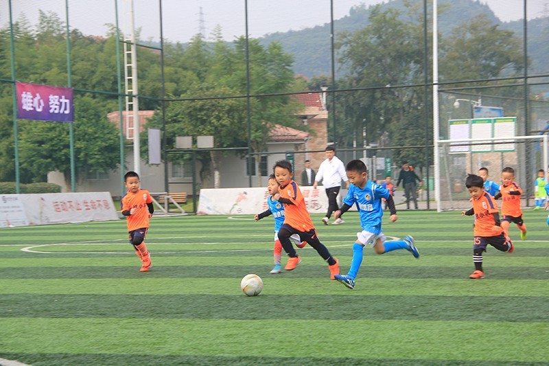 性别大战决赛完整版,南充奥航杯足球比赛