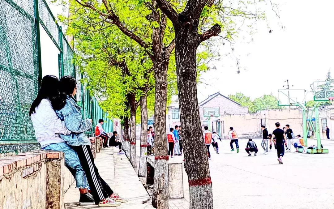 这里是，焦作市第四中学！