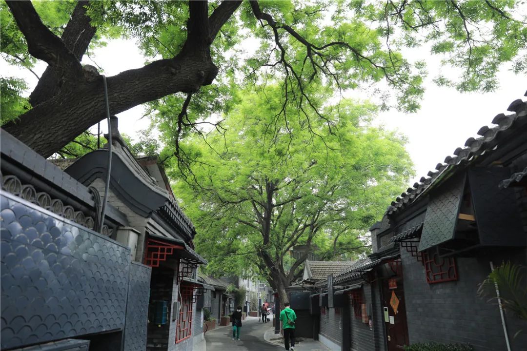 推动老城区旧貌换新颜,推进新老城区品质功能提升