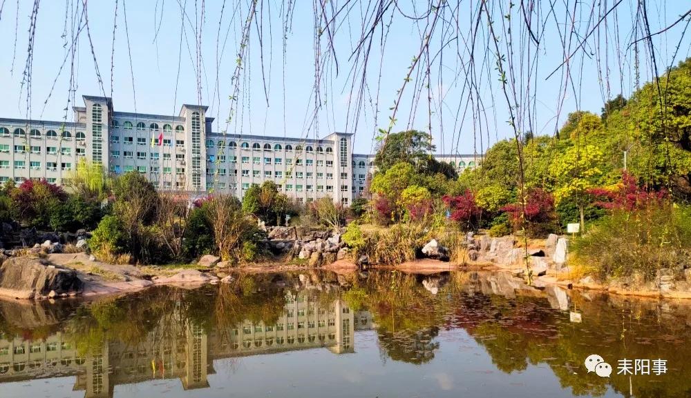 迎接校园里的百花齐放,教室窗外百花齐放