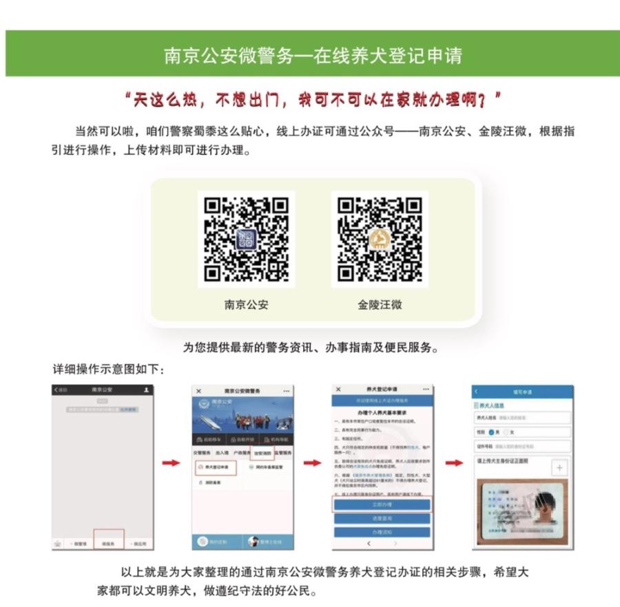 江北区养大型犬,江北宠物基地