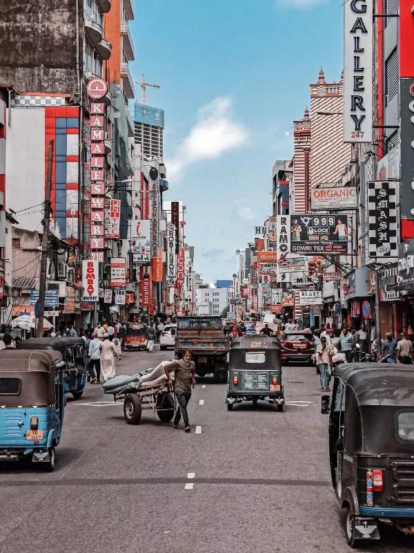 2021年索尼世界摄影大赛专业奖,2020年索尼世界摄影大赛