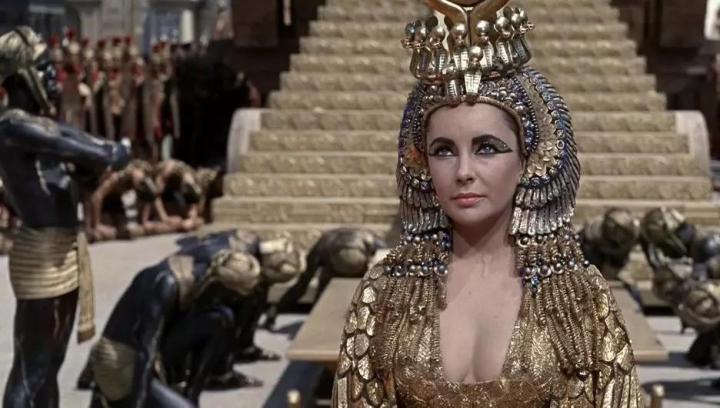 依兰精油的功效与作用,茶树精油的功效与作用