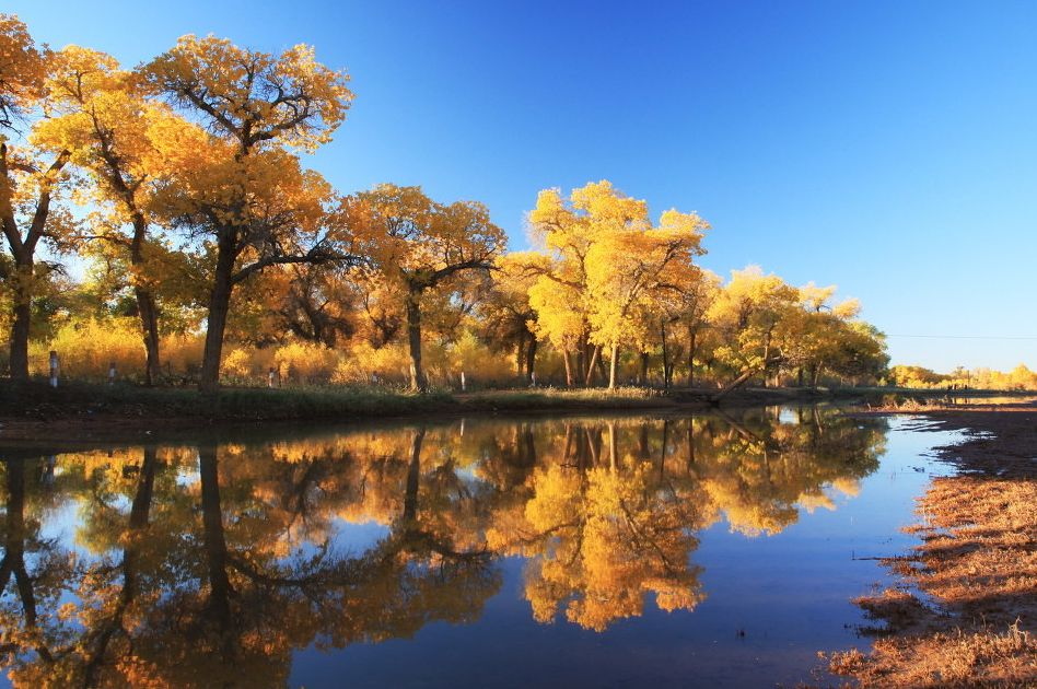 2020旅行时间表,2021年旅行时刻表出炉