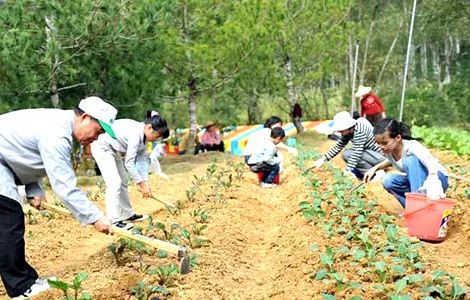 儿童农场建立,给孩子打造农场