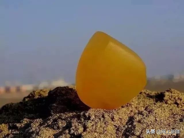 戈壁滩上的宝贝,新疆戈壁沙漠上的宝贝