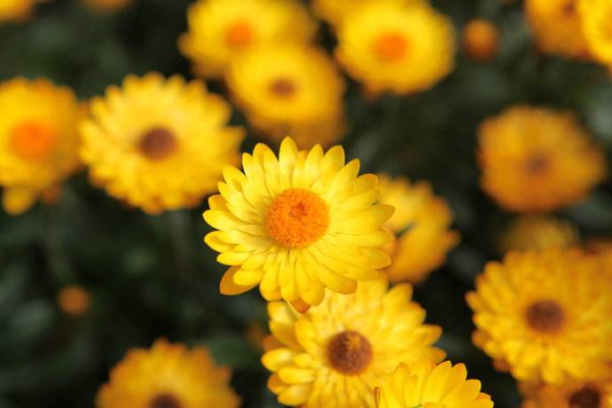 寿险买什么险最划算,寿险哪款产品好