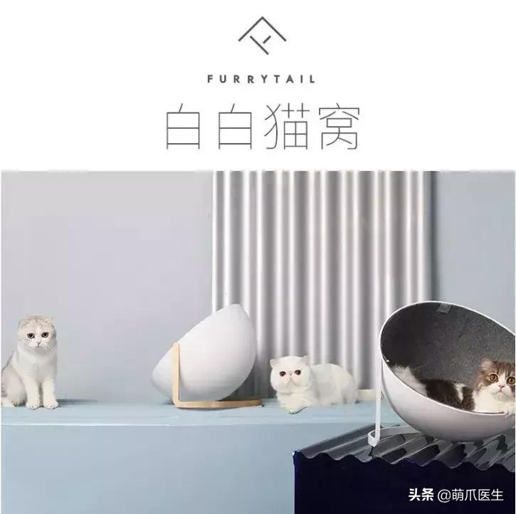 足不出户线上看诊,24小时猫病在线咨询