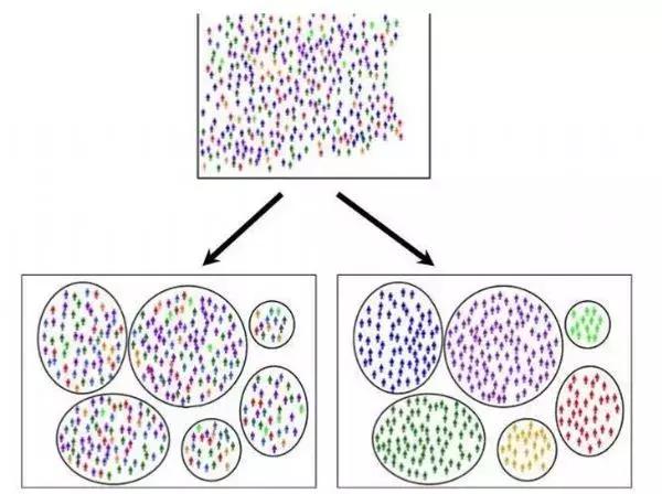 脑科学日报官网,脑科学日报完整版