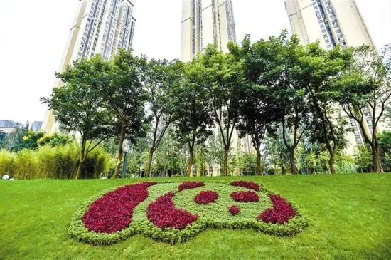前所未有开新篇成都建设大美公园城市
