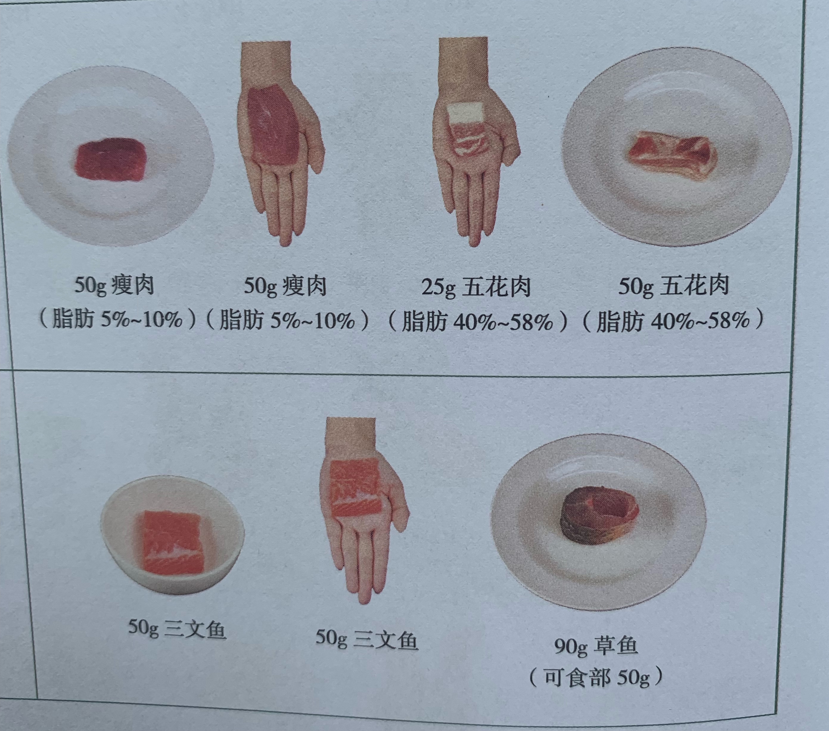 每顿吃一斤蔬菜多吗,每天吃一斤蔬菜吗
