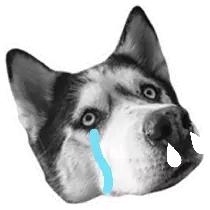 beatssolo3wireless音质测评,beatssolo3wireless体验