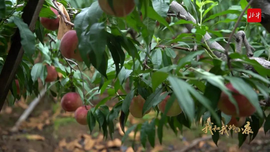 丹东自然美景,丹东大自然