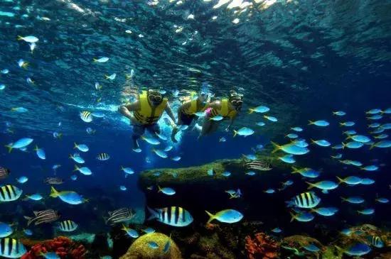 南宁有直飞新加坡的航班,南宁直飞曼谷机票价格