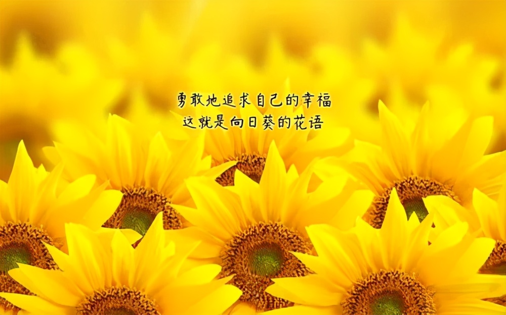 说说你开直播一个月的心得和收获,聊聊开直播的经历