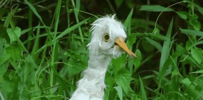 豆瓣9.8分悬疑大片,窥探电视剧豆瓣评分