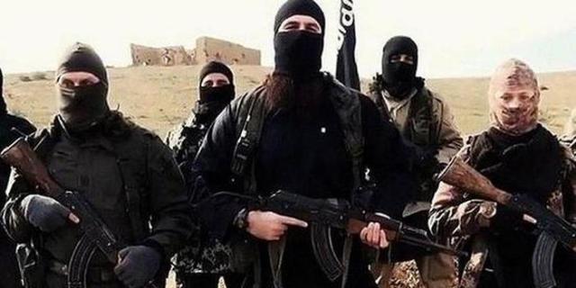 is是哪个国家扶持的,IS是什么公司部门