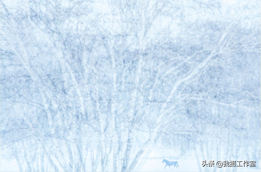 第16届国际摄影艺术展获奖作品,第29届全国摄影艺术展览作品集