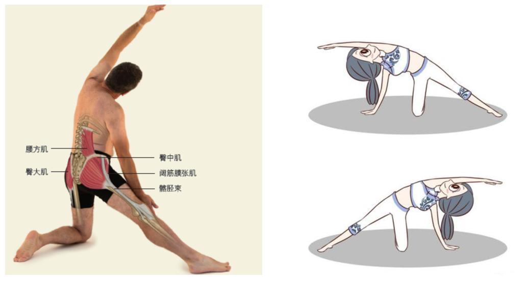 瑜伽初学者腰肌劳损怎么练习腰部,瑜伽腰背部疼痛怎么办