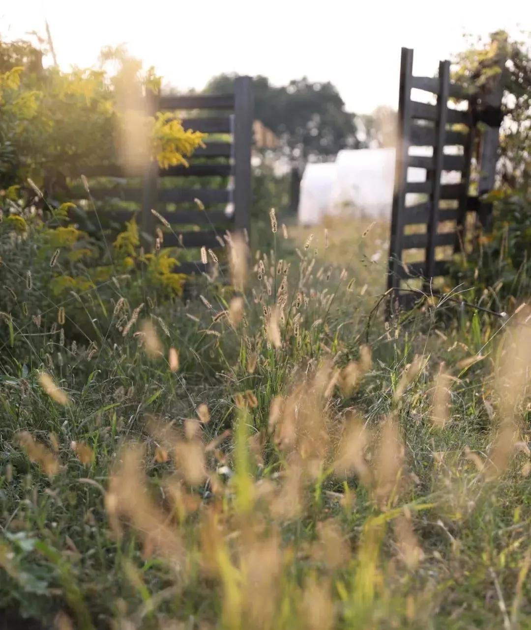 最会说情话的人全集,最会说情话的人