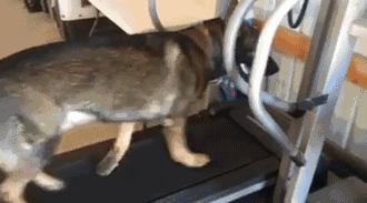 型男健身装备不能糙，看完这篇就知道为什么了