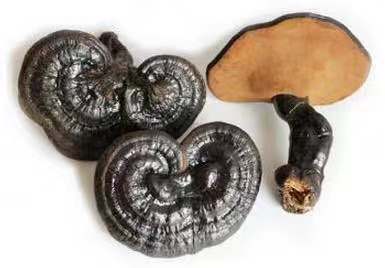 孕期这些食物孕妈妈千万不要碰,怀孕期间哪些东西不能吃容易流产