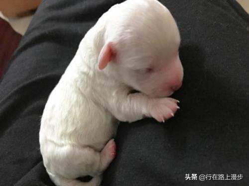 空囊最主要的原因是什么,空窝的原因