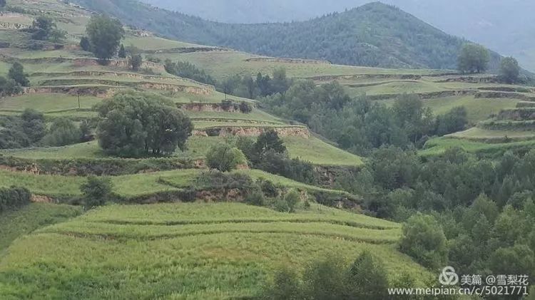 静乐县刁儿沟村,静乐县刁儿沟小学