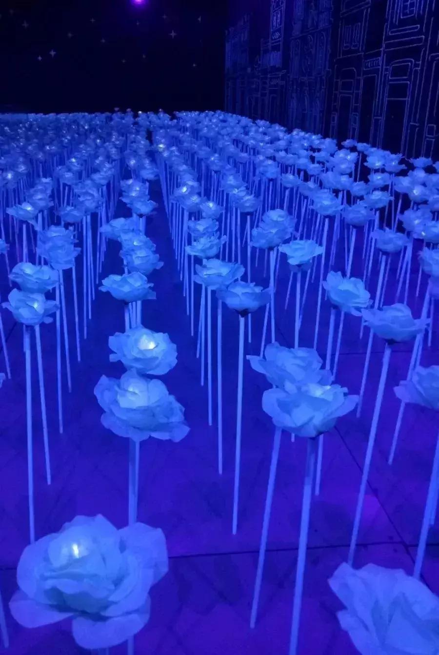 广州三八妇女节特惠景点晚上,广州哪里有三八妇女节免费景点