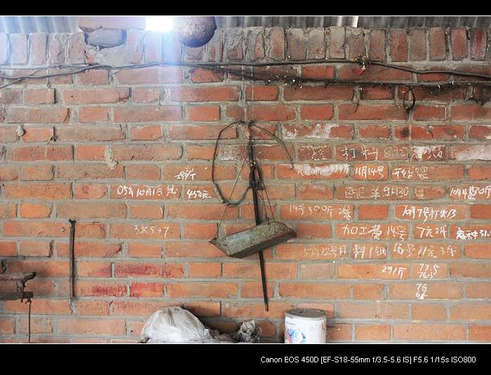 记录农家小院的真实生活,北方农村隐居田园的生活