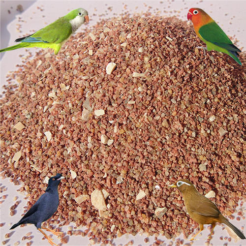 养鸟人必备技能,养鸟都需要做些什么