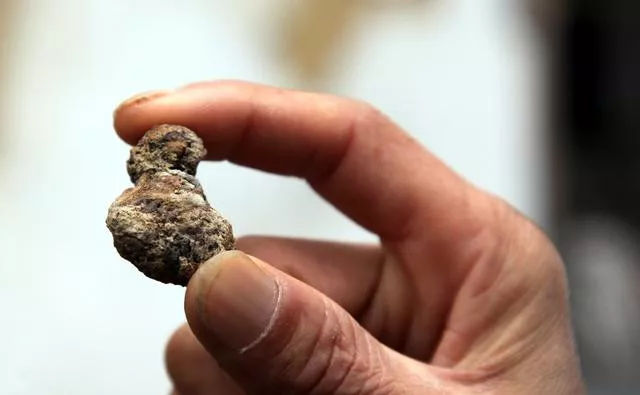 舍利子科学研究,舍利子真实原理