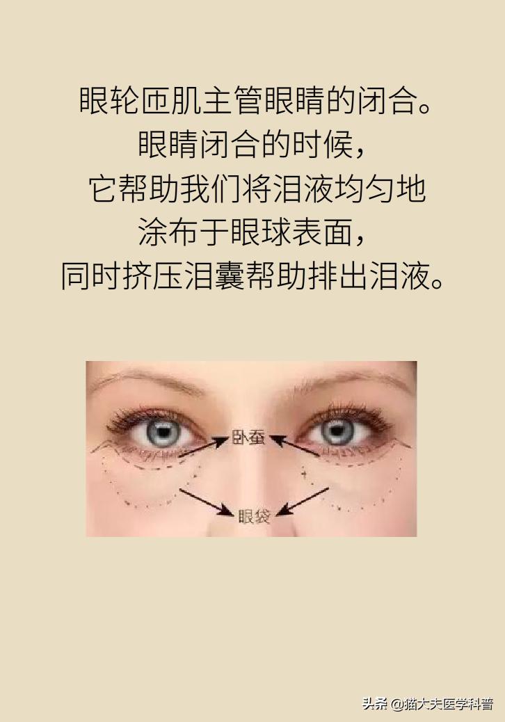 有眼袋怎么办五种去眼袋秘方,眼袋重最简单的去眼袋的方法