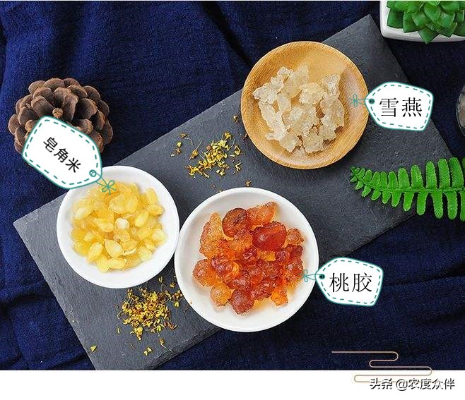 雪燕是什么做的,雪燕的最佳做法