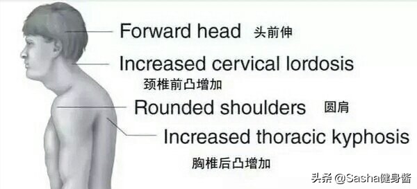含胸驼背不怕，2个面墙动作，帮你纠正