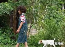 狗狗嗅陌生人的腿,狗狗为何喜欢嗅主人的尿