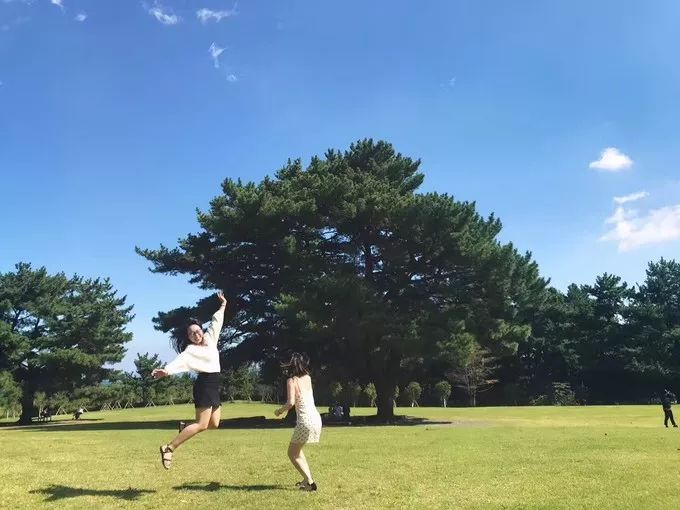 济州岛周末两日游,济州岛2天一夜跟团游