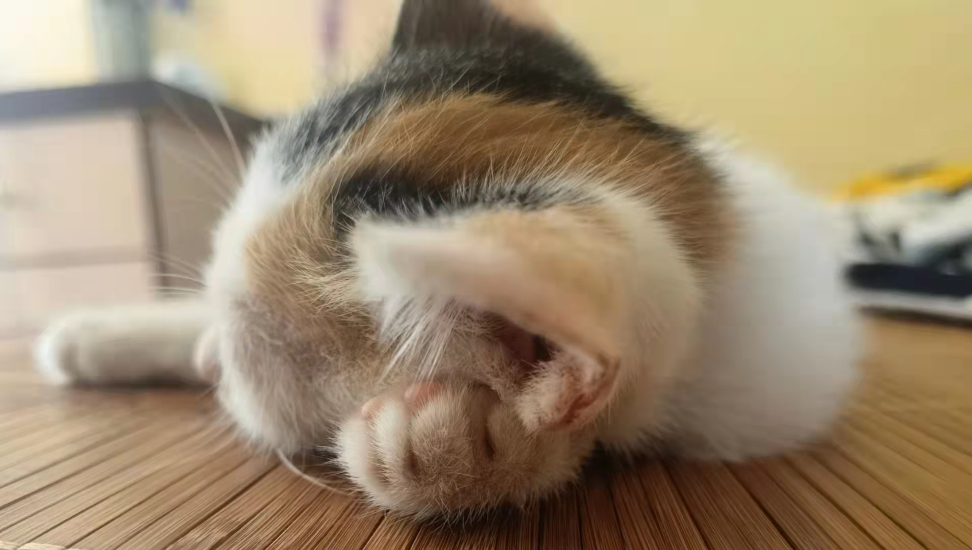 外籍股权代持是否具有法律效力,境外投资者对境内上市公司持股数