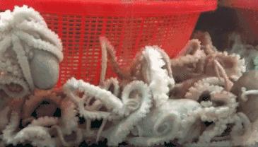 有一种炫富叫青岛开海,有一种炫富叫青岛开海了