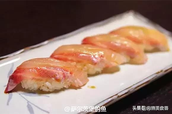 各种寿司纯鲜三文鱼刺身,日本传统寿司都用什么鱼