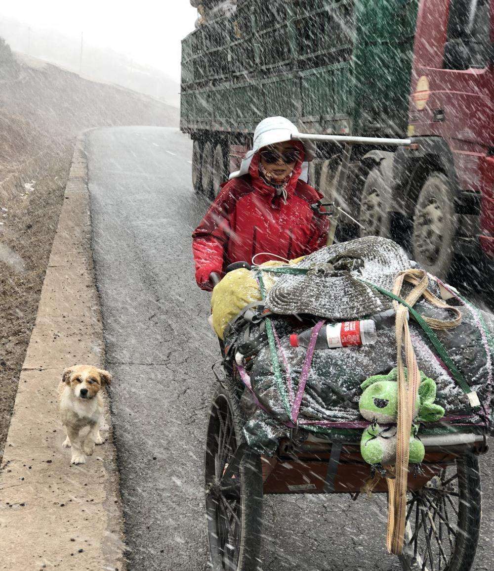 进藏越野车帕杰罗,十款进藏家用和越野车型