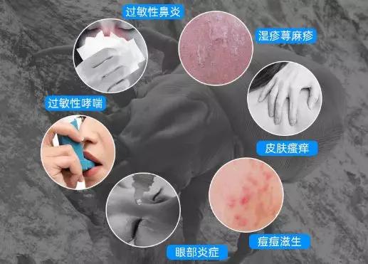 去被子上的螨虫的最佳方法,被子睡久了怎么除臭